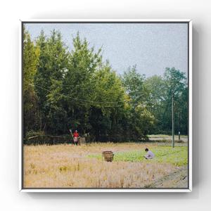 男同互摸鸡吧免费视频
