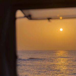 男同互摸鸡吧免费视频
