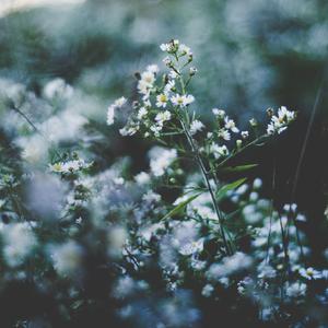 男同互摸鸡吧免费视频
